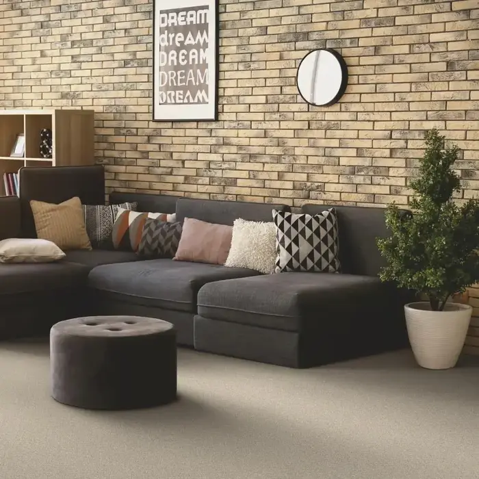 A room with carpet flooring