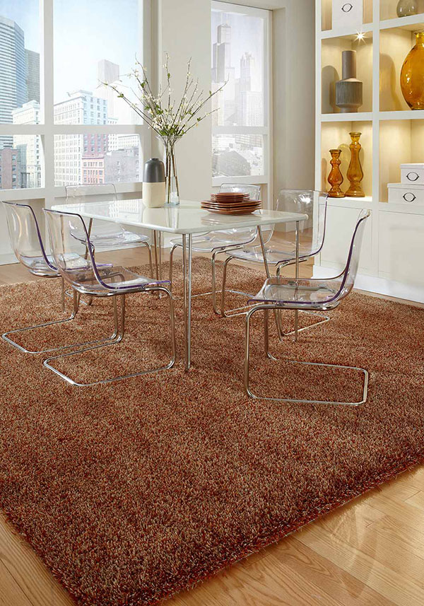 Dining room with shag rug for texture